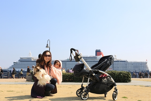 20140317_122734.JPG