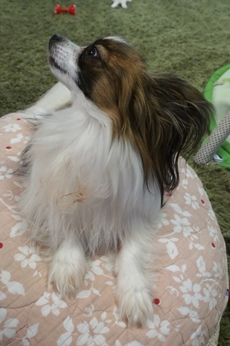 20140320_173622.JPG