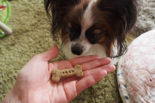 20140327_134234.JPG