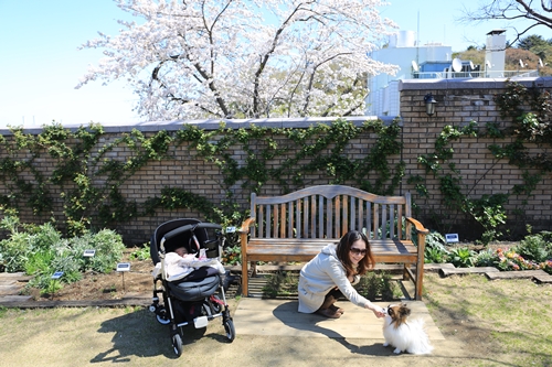 20140331_105512.JPG