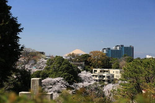 20140331_111346.JPG