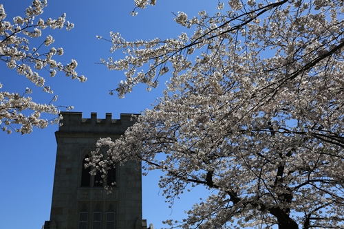 20140331_112050.JPG