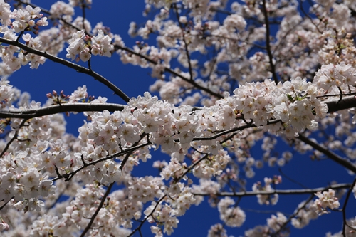 20140331_112554.JPG