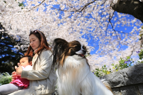 20140331_113229.JPG