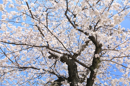 20140331_113248.JPG