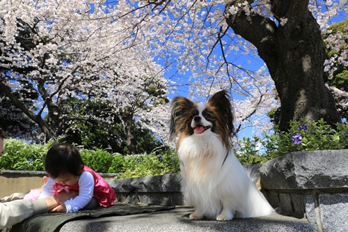20140331_113333.JPG