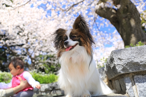 20140331_113358.JPG
