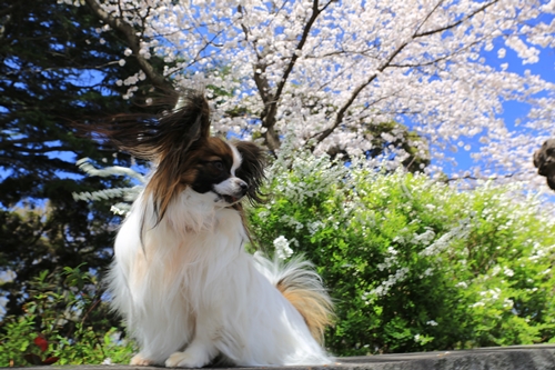 20140331_113622.JPG