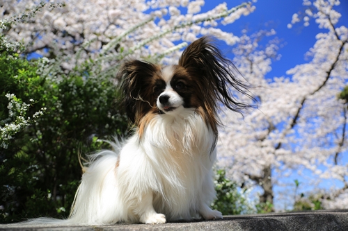 20140331_115035.JPG