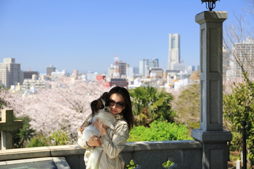 20140331_120408.JPG