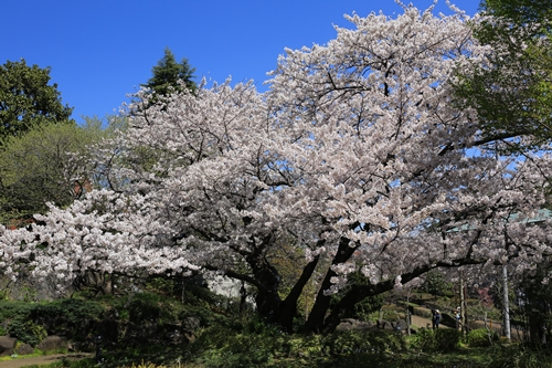 20140331_120948.JPG