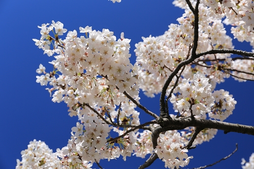 20140331_121743.JPG