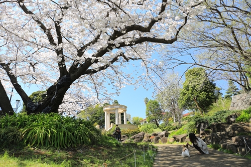 20140331_121839.JPG