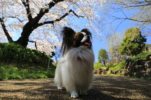 20140331_121911.JPG