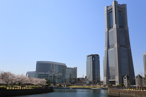 20140331_130351.JPG