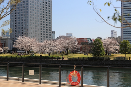 20140331_131441.JPG