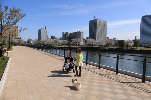 20140331_140452.JPG