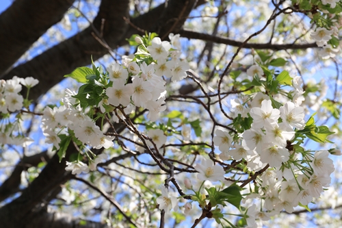 20140331_140951.JPG