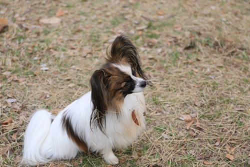 20140331_162740.JPG