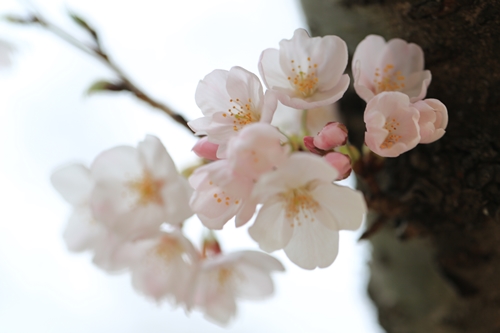 20140331_162916.JPG