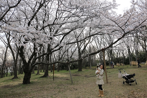 20140331_163206.JPG
