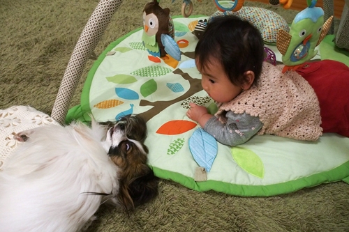 20140324_183128.JPG