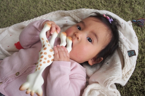 20140326_152231.JPG