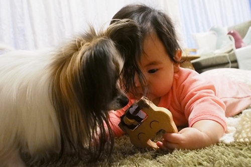 20140403_175144.JPG