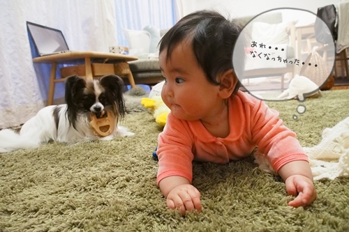 20140403_175154.JPG