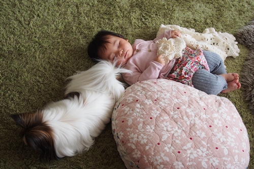 20140410_123211.JPG
