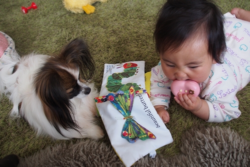 20140415_151722.JPG