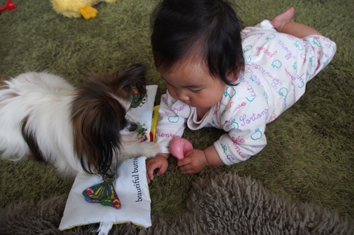 20140415_151754.JPG