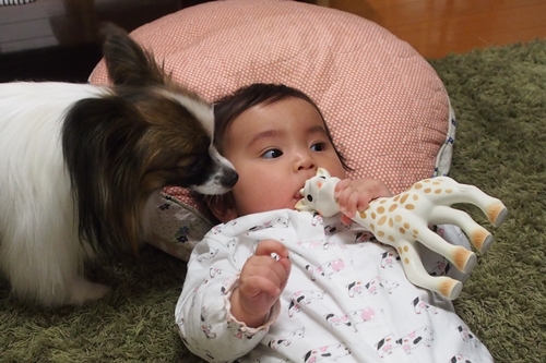 20140415_213455.JPG