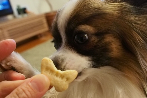 20140416_180142.JPG
