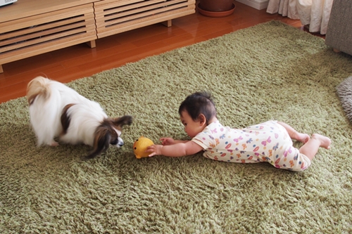 20140417_074709.JPG