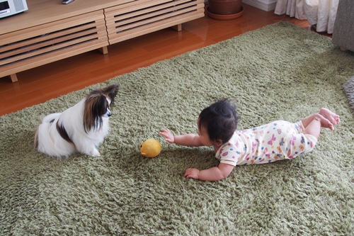 20140417_074717.JPG