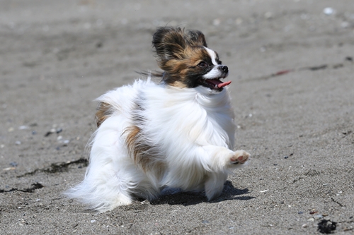 20140427_121918.JPG