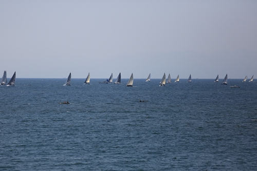 20140427_123504.JPG