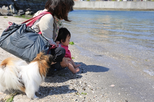 20140427_133204.JPG