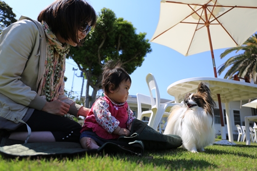 20140427_135256.JPG