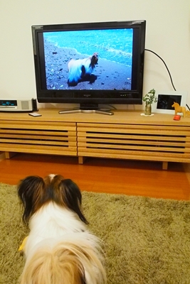 20140427_185222.JPG