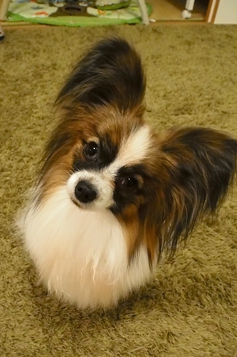 20140427_225219.JPG