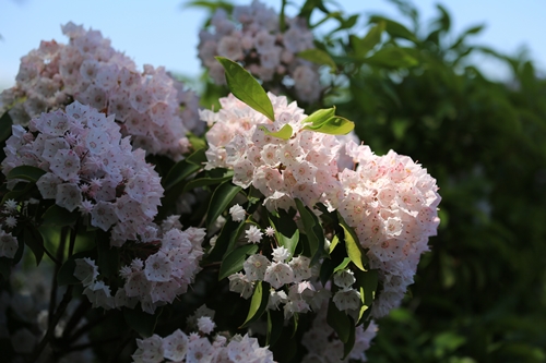 20140518_125512.JPG