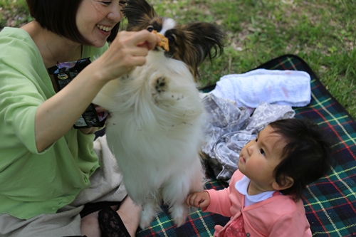 20140518_135803.JPG