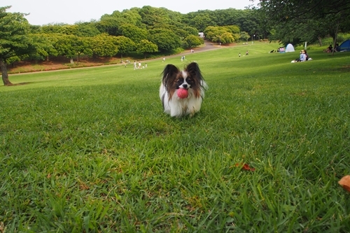 20140621_155229.JPG
