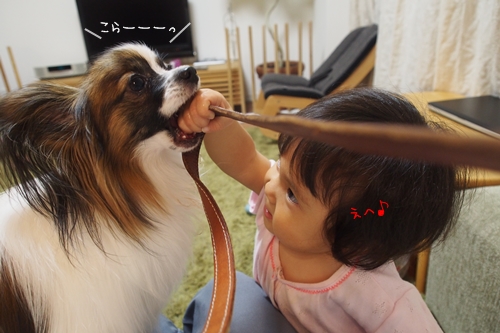 20141014_221155.JPG