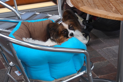20141019_143024.JPG
