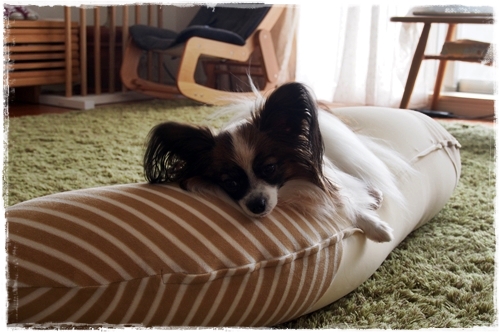 20141024_085804.JPG