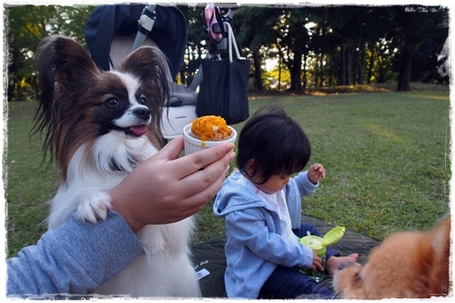 20141024_153327.JPG