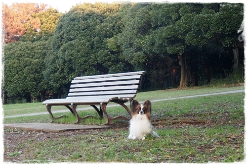 20141024_162648.JPG